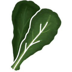 Cavolo nero