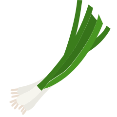 cipollotto