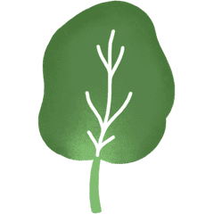 spinaci