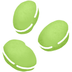 fèves