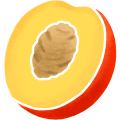 nectarina