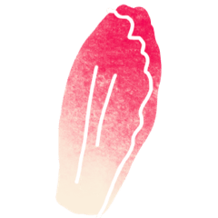 Radicchio rosso